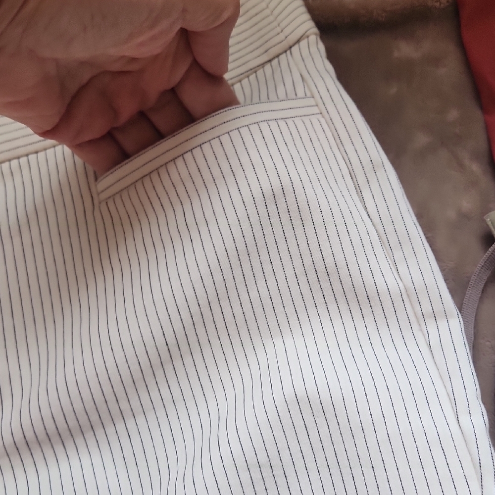 Banana Republic Cream With Black Pin Strip Pants, Classic Detailing - Picture 6 of 13